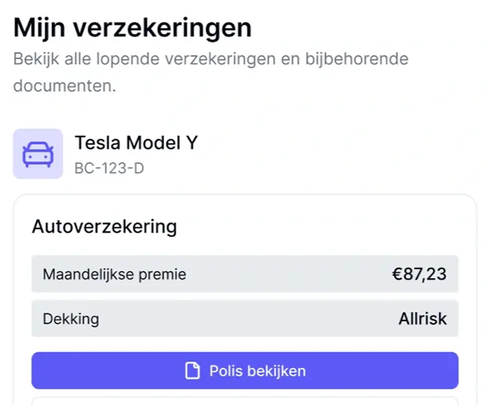 Verzekeringen overzicht